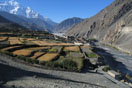  Upper Mustang Trek Pic